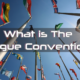 What is The Hague Convention