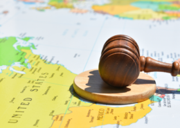 Hague Convention Defenses