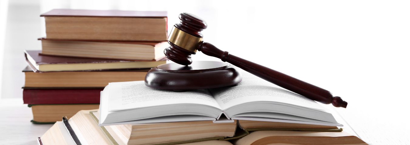 Illinois Leading Lawyer (1)