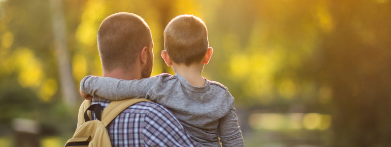 Illinois parental relocation