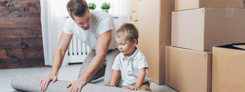 Illinois parental relocation